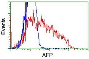 Image no. 2 for anti-alpha-Fetoprotein (AFP) antibody (ABIN1496485) (alpha Fetoprotein antibody)