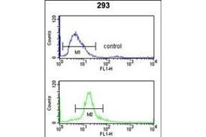 SSB Antibody (N-term) (ABIN1882133 and ABIN2839422) flow cytometry analysis of 293 cells (bottom histogram) compared to a negative control cell (top histogram). (SSB antibody  (N-Term))