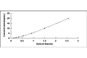 Typical standard curve (ADSSL1 ELISA Kit)