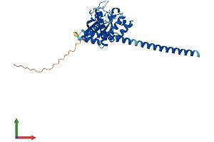 AlphaFold protein structure predicition of Human Recombinant GIMAP5 Protein, UniprotID Q96F15 (GIMAP5 Protein (AA 1-307) (His tag))