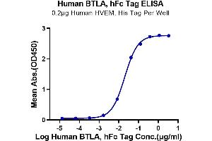 Immobilized Human HVEM, His Tag at 2 μg/mL (100 μL/Well) on the plate. (BTLA Protein (AA 31-150) (Fc Tag))