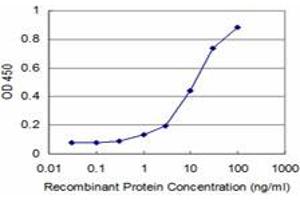 Detection limit for recombinant GST tagged NKX3-1 is approximately 1ng/ml as a capture antibody. (NKX3-1 antibody  (AA 100-209))