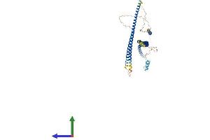 AlphaFold protein structure predicition of Mouse Recombinant Optn Protein, UniprotID Q8K3K8 (OPTN Protein (AA 1-584) (His tag))