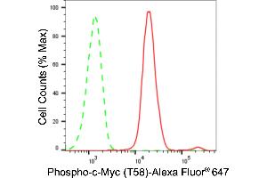 Flow cytometric analysis of Phospho-c-Myc (T58) expression in HAP-1 cells using Phospho-c-Myc (T58) antibody (ABIN7799504), 1:2,000). (Recombinant c-MYC antibody  (pThr58))