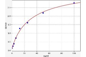 Mitogen-Activated Protein Kinase (MAPK) ELISA Kit