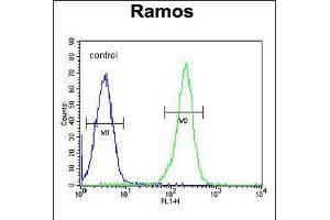 Flow cytometric analysis of Ramos cells (right histogram) compared to a negative control cell (left histogram). (PAX5 antibody  (AA 178-207))