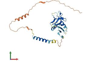 AlphaFold protein structure predicition of Human Recombinant KLRC3 Protein, UniprotID Q07444