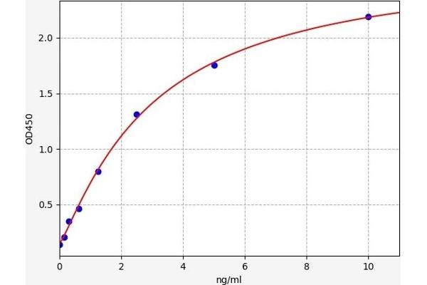 CYP1B1 ELISA Kit