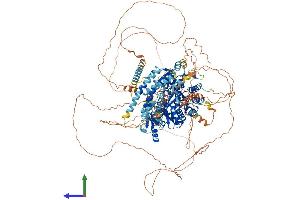 AlphaFold protein structure predicition of Human Recombinant TTLL5 Protein, UniprotID Q6EMB2 (TTLL5 Protein (AA 1-1281) (His tag))