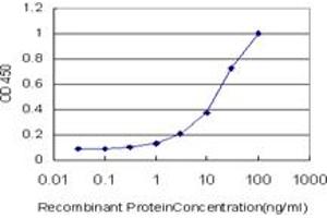 Detection limit for recombinant GST tagged VAV1 is approximately 0. (VAV1 antibody  (AA 681-790))