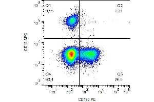 Surface staining of human peripheral blood cells with anti-CD160 (BY55) PE. (CD160 antibody  (PE))