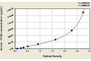CTSA ELISA Kit