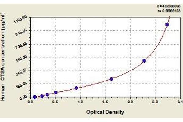 CTSA ELISA Kit