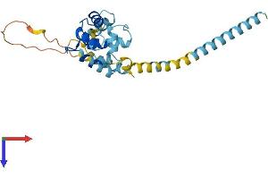 EFHD1 Protein (AA 1-240) (His tag)