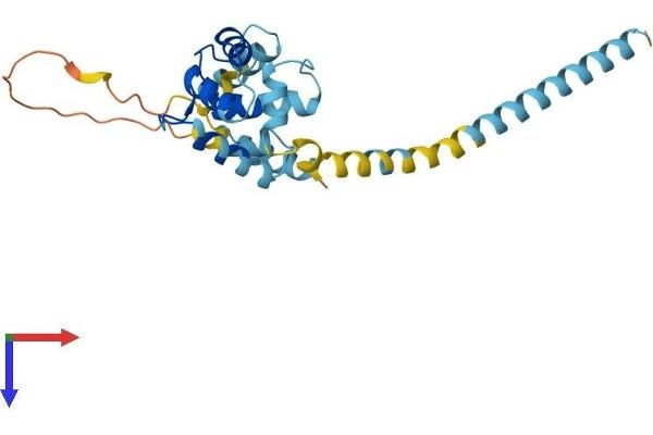 EFHD1 Protein (AA 1-240) (His tag)