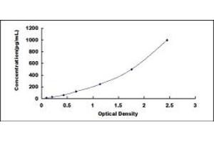 Typical standard curve (IFNB1 ELISA Kit)