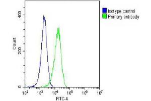 Overlay histogram showing Hela cells stained with (ABIN387816 and ABIN2843905)(green line). (EGFR antibody)
