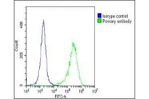 Overlay histogram showing HeLa cells stained with (ABIN392570 and ABIN2842109)(green line). (PIK3R1 antibody  (N-Term))