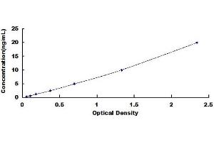 Typical standard curve (CA2 ELISA Kit)