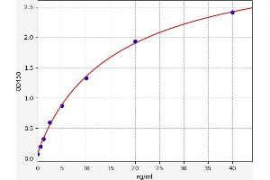 Myogenin ELISA Kit