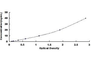 Typical standard curve (CYP27B1 ELISA Kit)