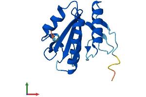 Protein Structure (PS) image for Thioredoxin-Like 4A (TXNL4A) (AA 1-142) protein (His tag) (ABIN7556754)