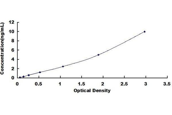 COTL1 ELISA Kit