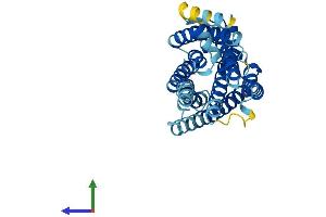 AlphaFold protein structure predicition of Human Recombinant GPR171 Protein, UniprotID O14626 (GPR171 Protein (AA 1-319) (His tag))