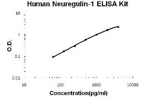 Human Neuregulin-1/NRG1-Beta1 PicoKine ELISA Kit standard curve (Neuregulin 1 ELISA Kit)
