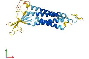 AlphaFold protein structure predicition of Mouse Recombinant Cacng1 Protein, UniprotID O70578 (CACNG1 Protein (AA 1-223) (His tag))