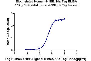 ELISA image for Tumor Necrosis Factor Receptor Superfamily, Member 9 (TNFRSF9) (AA 24-186) protein (His-Avi Tag,Biotin) (ABIN7273923)