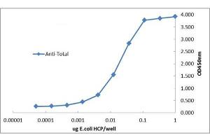 ELISA of Rabbit Anti-E. (Combined Host Cell Proteins antibody (Biotin))