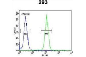 Flow cytometric analysis of 293 cells using NCOA7 Antibody (N-term) Cat. (NCOA7 antibody  (N-Term))