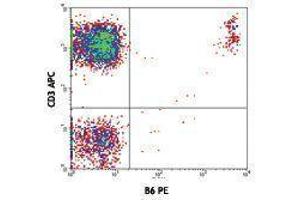 Flow Cytometry (FACS) image for anti-TCR, V delta 2 antibody (PE) (ABIN2663923) (TCR, V delta 2 antibody (PE))