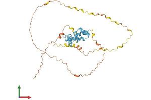AlphaFold protein structure predicition of Human Recombinant SCAND2P Protein, UniprotID Q9GZW5 (SCAND2 Protein (AA 1-306) (His tag))