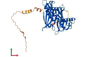 AlphaFold protein structure predicition of Mouse Recombinant Acot7 Protein, UniprotID Q91V12 (ACOT7 Protein (AA 1-381) (His tag))