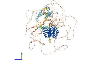 AlphaFold protein structure predicition of Human Recombinant PER3 Protein, UniprotID P56645