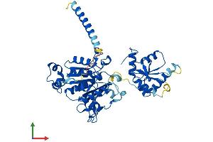 AlphaFold protein structure predicition of Mouse Recombinant Mocs3 Protein, UniprotID A2BDX3 (MOCS3 Protein (AA 1-460) (His tag))