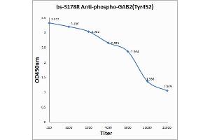 Antigen: 0. (GAB2 antibody  (pTyr452))