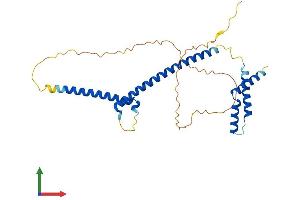 AlphaFold protein structure predicition of Human Recombinant MLX Protein, UniprotID Q9UH92 (MLX Protein (AA 1-298) (His tag))