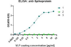 ELISA image for SARS-CoV-2 Membrane-, Envelope-, Nucleoprotein protein-VLP (ABIN7538787)