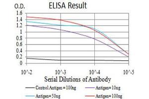 Black line: Control Antigen (100 ng),Purple line: Antigen (10 ng), Blue line: Antigen (50 ng), Red line:Antigen (100 ng) (VEGFA antibody  (AA 207-371))