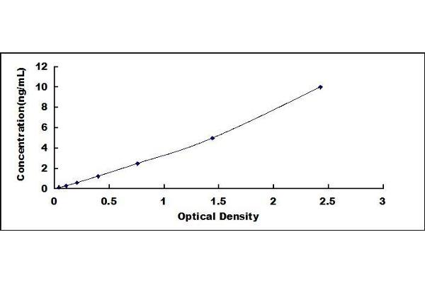 Osteoprotegerin ELISA Kit