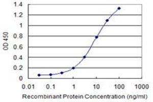 Detection limit for recombinant GST tagged DDX56 is 0. (DDX56 antibody  (AA 450-547))