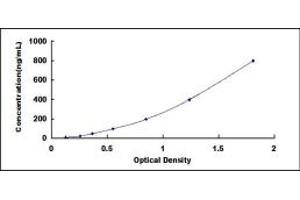 Typical standard curve (Haptoglobin ELISA Kit)