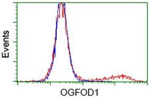 Flow Cytometry (FACS) image for anti-2-Oxoglutarate and Iron-Dependent Oxygenase Domain Containing 1 (OGFOD1) antibody (ABIN1499912) (OGFOD1 antibody)