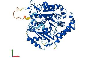 AlphaFold protein structure predicition of Mouse Recombinant Tubal3 Protein, UniprotID Q3UX10 (TUBAL3 Protein (AA 1-446) (His tag))