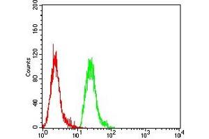 Flow cytometric analysis of Hela cells using PINK1 mouse mAb (green) and negative control (red). (PINK1 antibody  (AA 112-273))