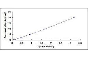 Fructosamine 3 Kinase (FN3K) ELISA Kit