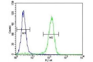 Cyclin C antibody flow cytometric analysis of HeLa cells (right histogram) compared to a negative control (left histogram). (Cyclin C antibody  (AA 1-30))